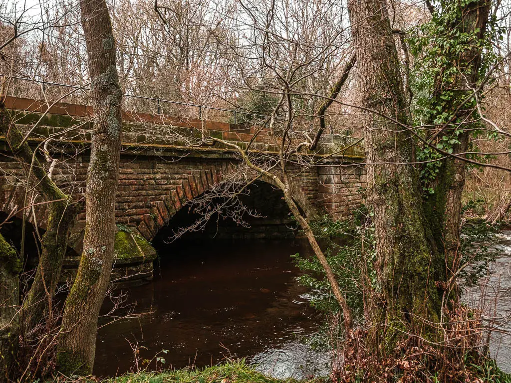 Looking through the tree trunks to the archway bridge over the river.