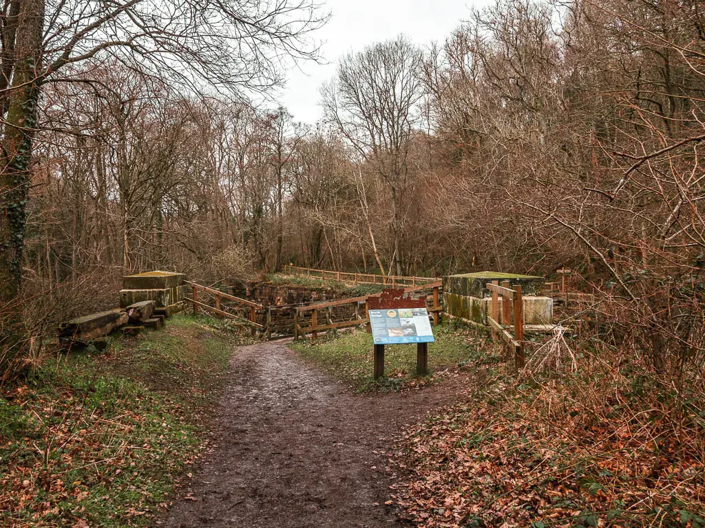 A dirt path in the woods, leading to an information board and wooden railings.