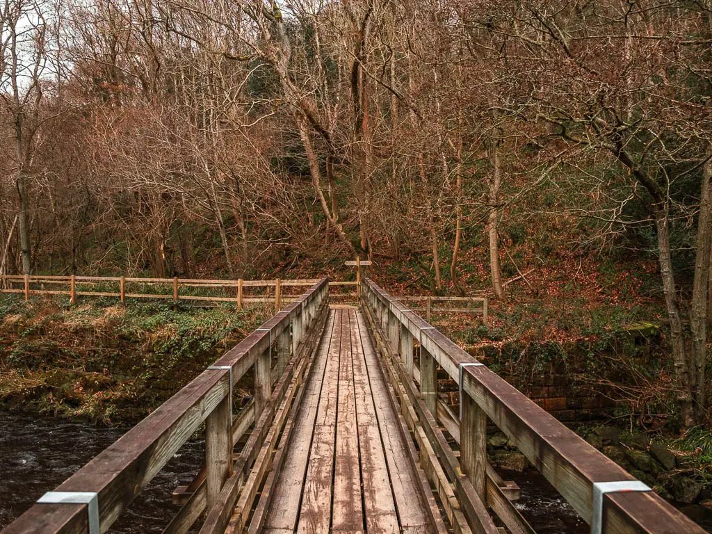 A wooden bridge leading ahead to a mass of trees.