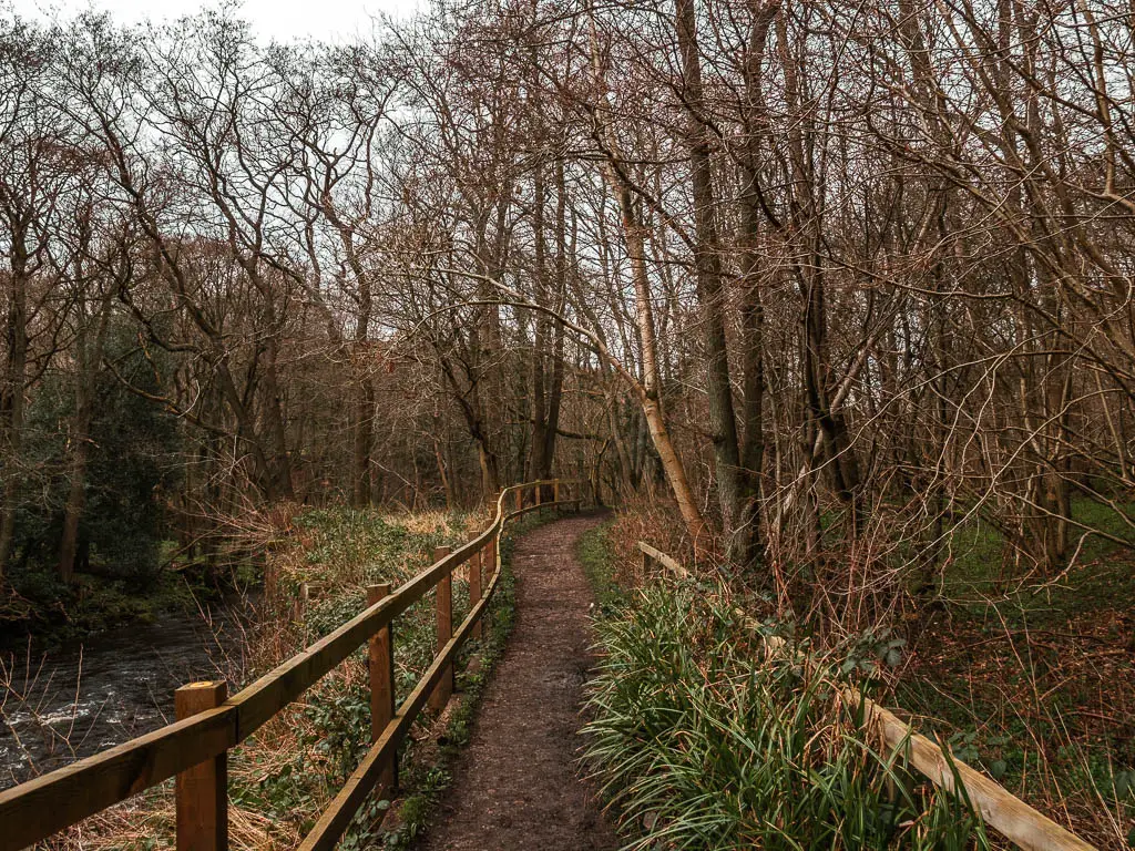 A curvy narrow dirt path, lined with wooden railings, within the woods.