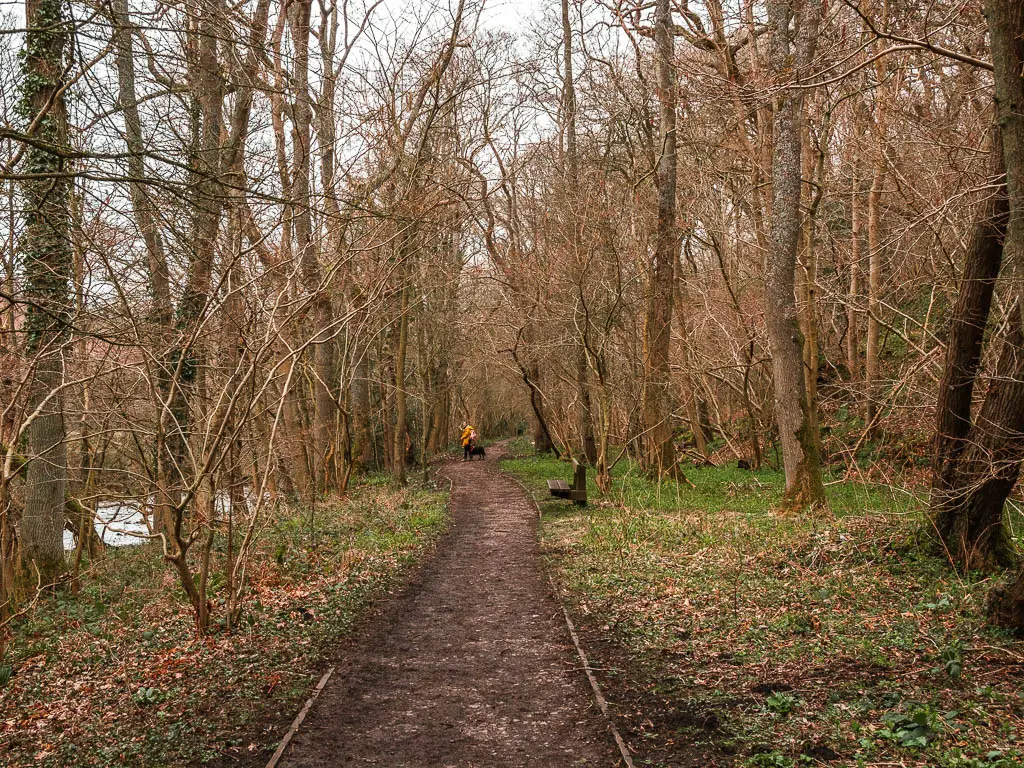 A dirt path leading straight ahead in the woodland. There is a person in a yellow jacket walking ahead.