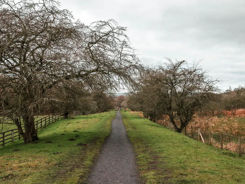 A long straight path with grass banks, and a few trees on the side.