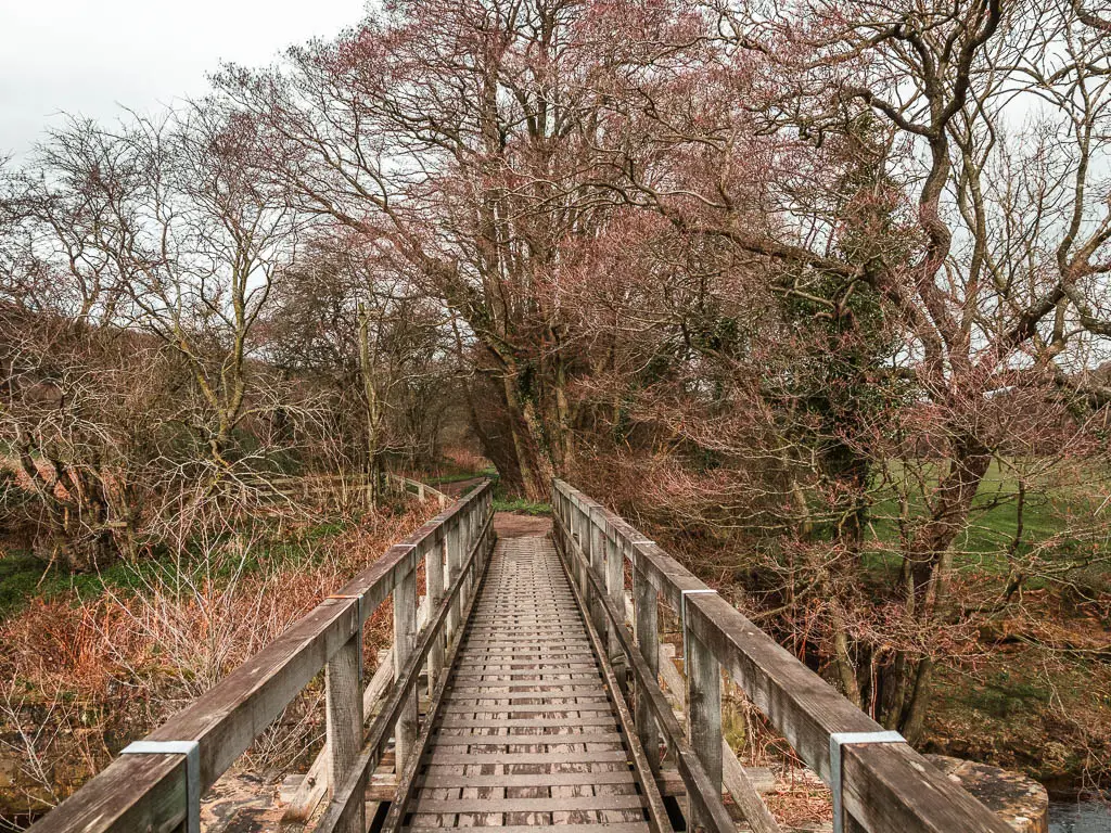 Looking along a narrow wooden bridge leading towards the leafless woodland trees.