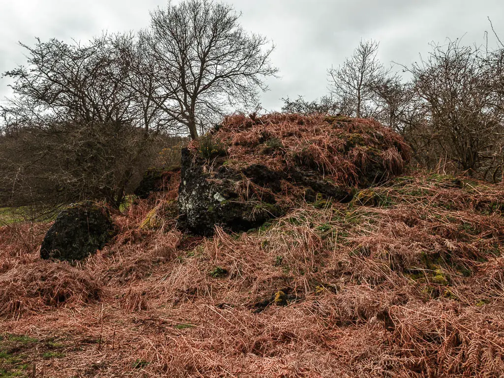 Big black lumps of ironstone along the rail trail walk between Goathland and Grosmont.