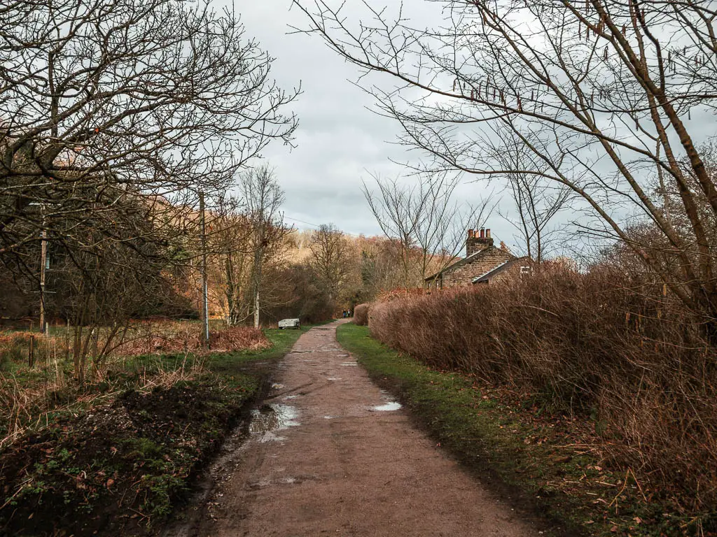 A wide path with a leafless hedge to the right, and some rooftops visible over the hedge ahead. 