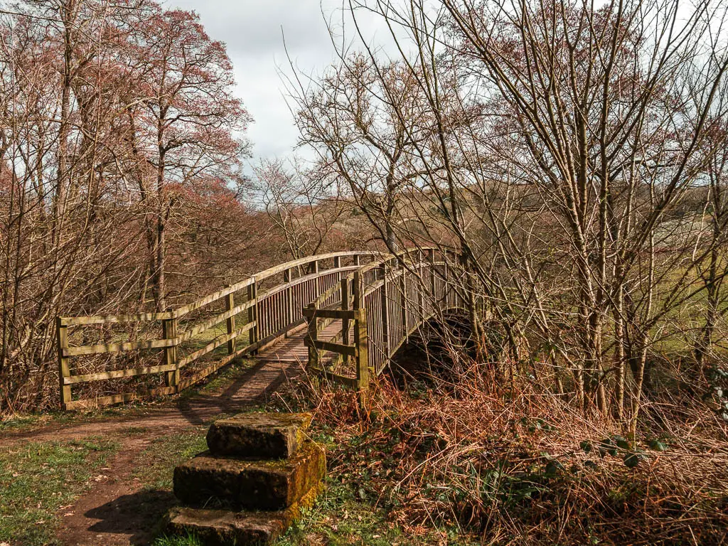 A cute wooden bridge, surrounded by leafless trees.