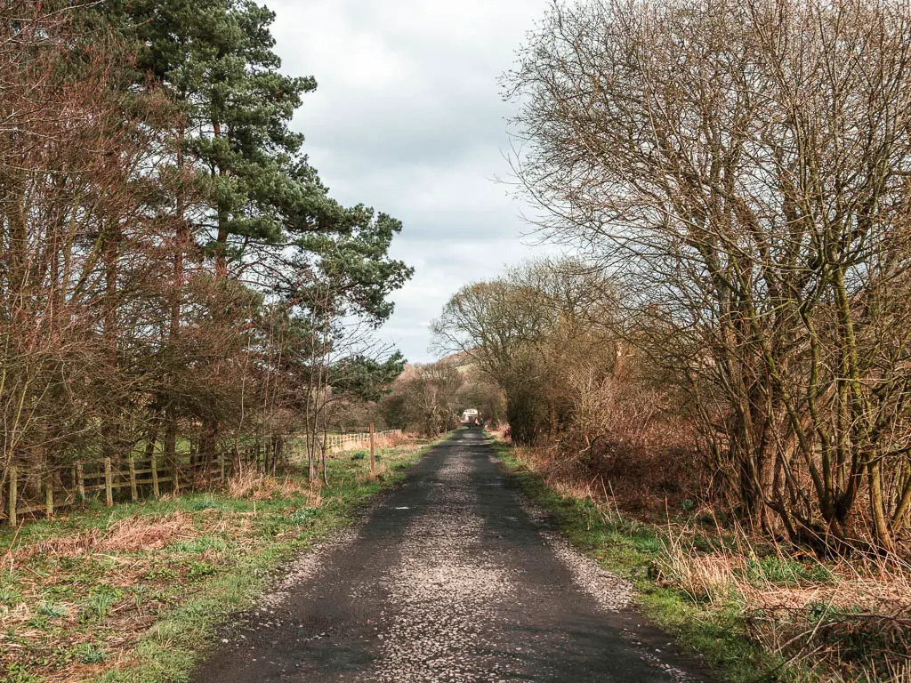 Looking straight along the black path of the rail trail on the walk from Goathland to Grosmont. The path is lined with trees.