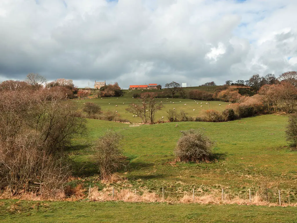 Looking across the grass field and up the hill on the Goathland to Grosmont circular walk. There is a house on the top of the hill with a red roof. There are a few trees dotted about.