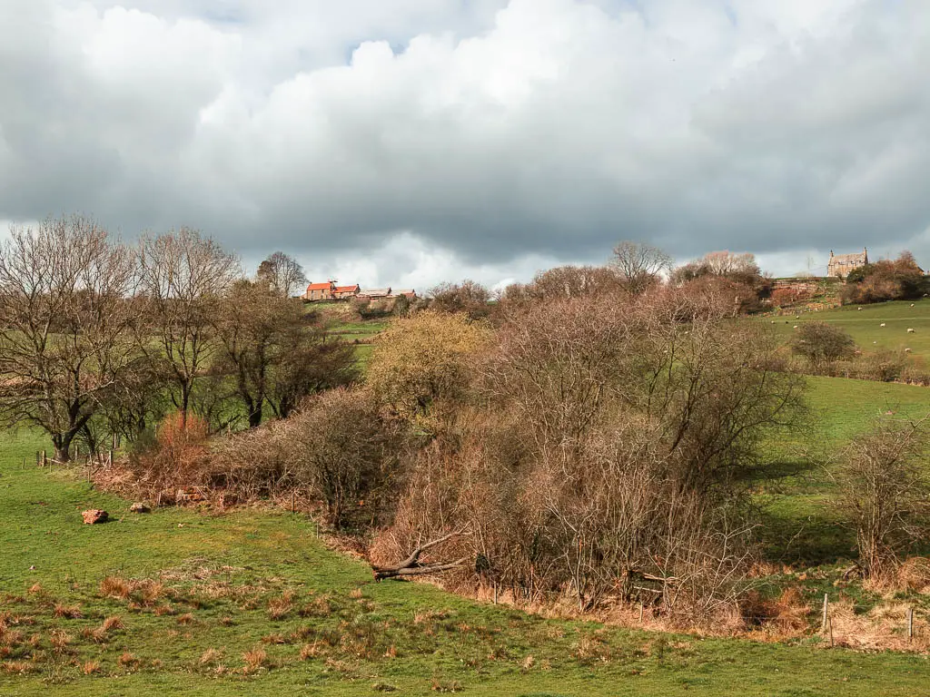 A large grass hill field, with masses of bite sand trees, and a small red roofed house on the top of the hill.