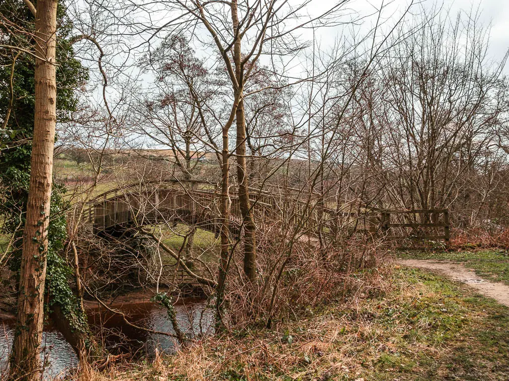 A wooden curved bridge just about visible through the straggly tree branches, on the walk back to Goathland from Grosmont.