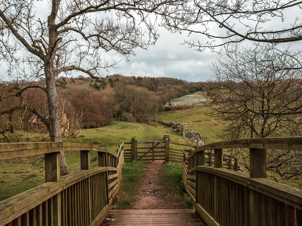 Standing on the bridge, with wooden railings, looking along it to the fields on the other side. there is a mass of woodland trees ahead on the other side of the field.