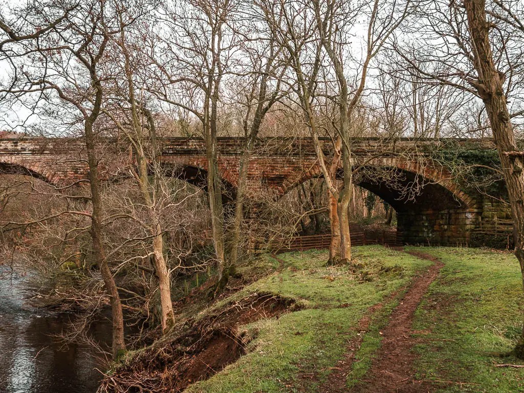 A dirt trail along the grass on the right, with the river to the left, leading to an archway bridge, on the circular walk back to Goathland from Grosmont. There a re a few tall leafless trees with straggly branches. 