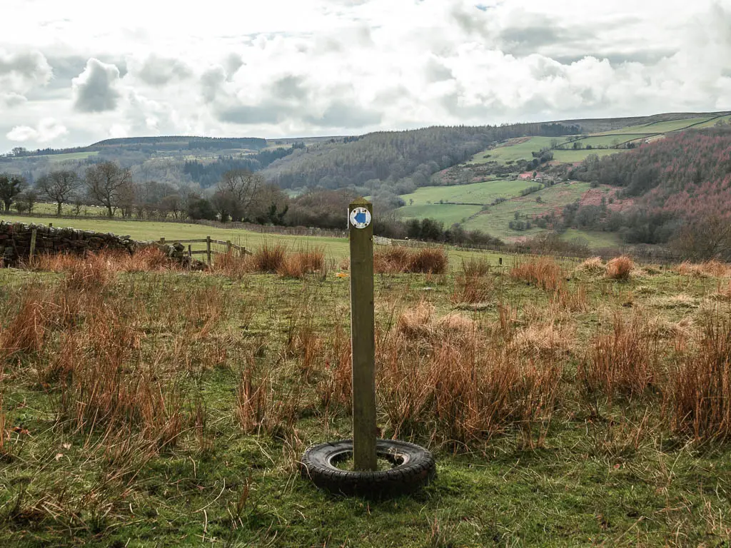 A wooden stump trail sign with a blue arrow pointing left, with a view to the valley and hills behind it.