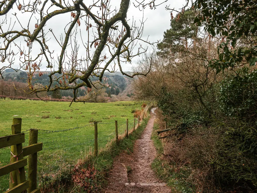 A narrow dirt trail with bushes and trees to the right, and a wire fence and big field to the left.