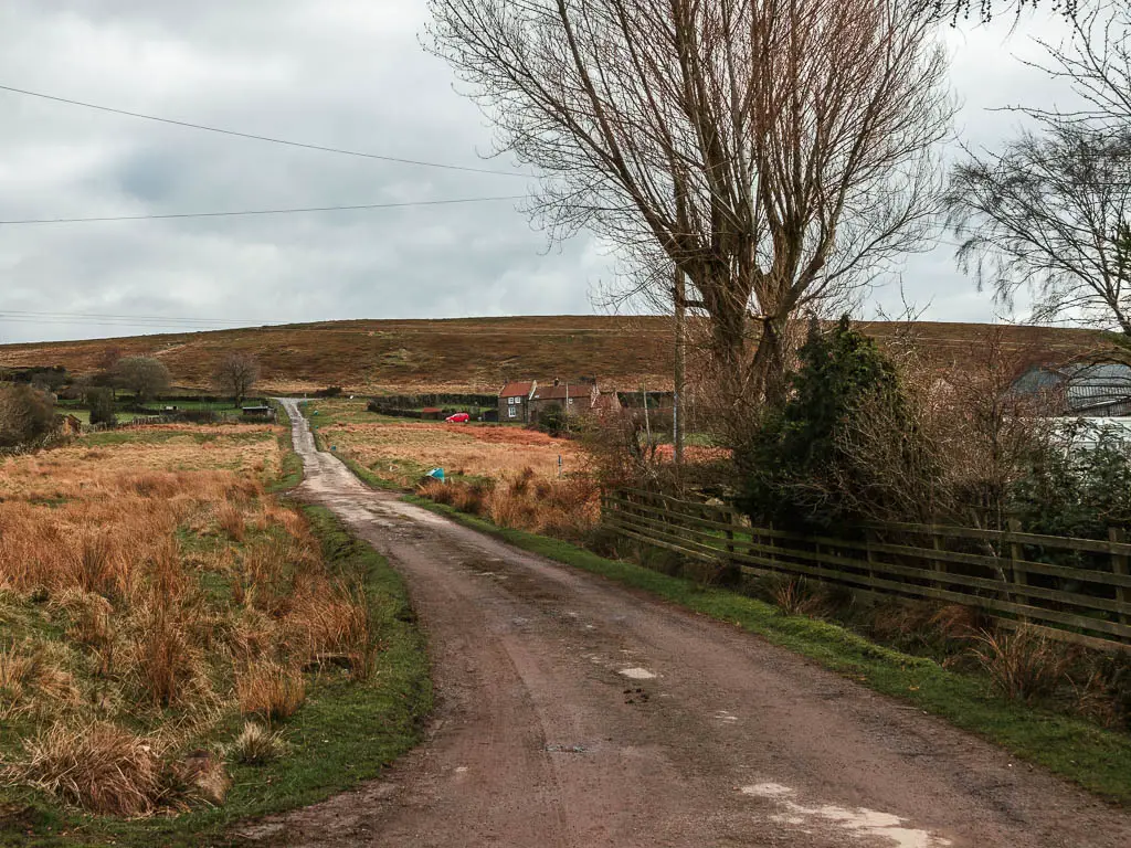 A dirt road leading up the hill, with some farm buildings ahead to the right.