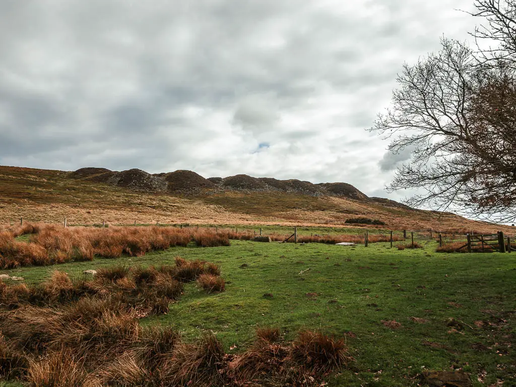 a large grass field with a view ahead to some bumpy hills, on the circular walk between Goathland and Grosmont.