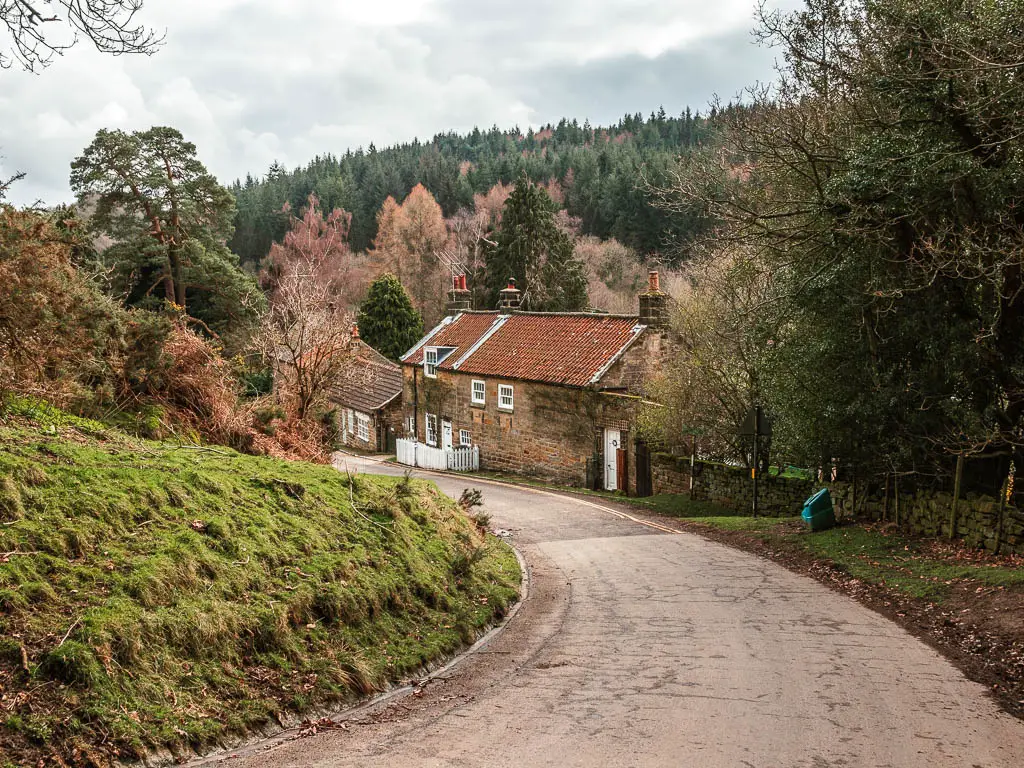 A road leading down and to the left. with a grass bank on the left side of it, and some cottage ahead on the right side. The cottage is surround by pretty trees.