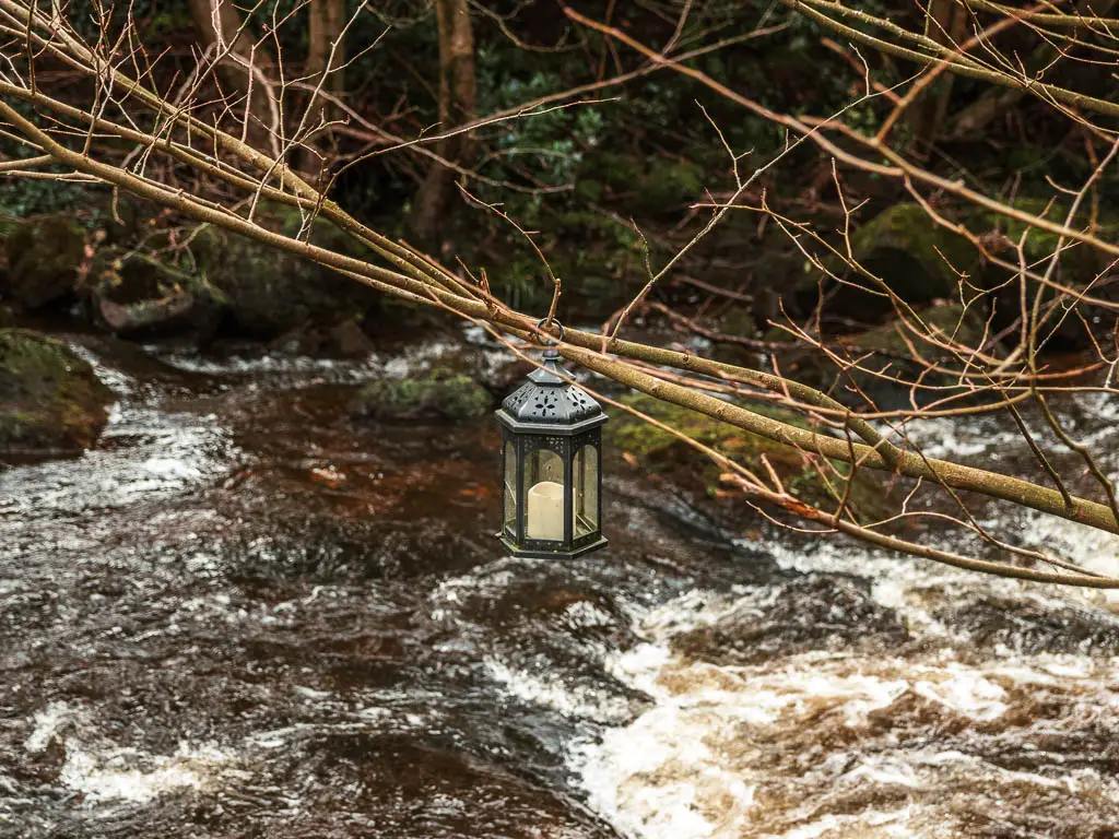 A black lantern with a white candle inside, hanging off a tree branch, on the walk back to Goathland from Grosmont.