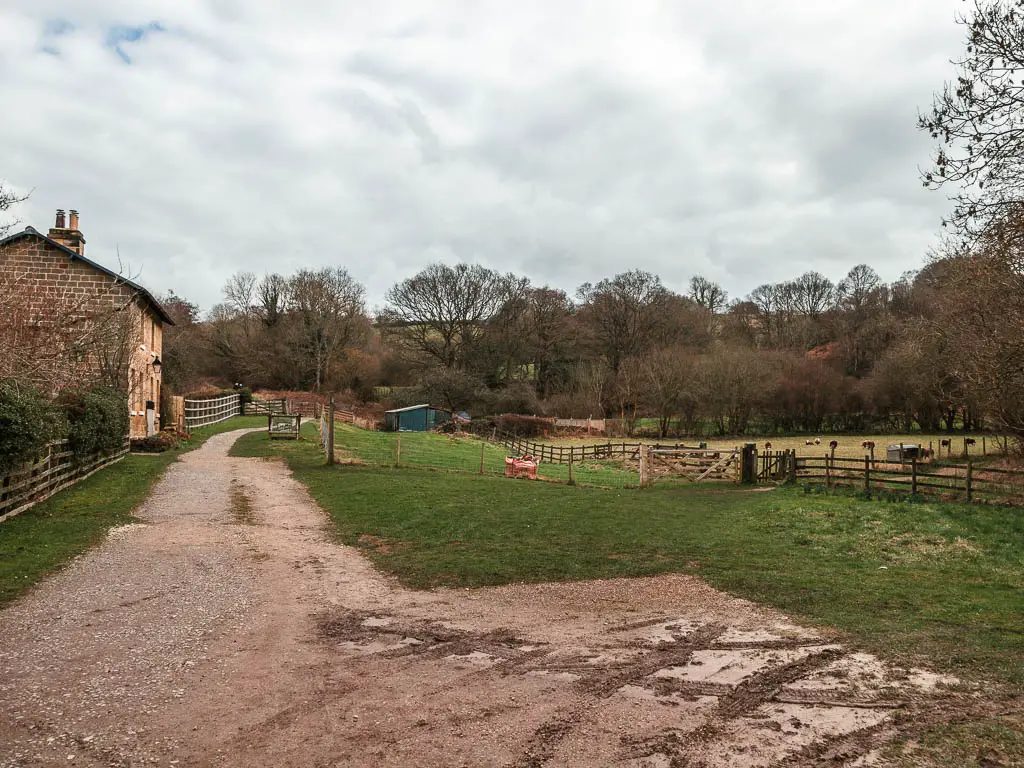 The path leading ahead on the left, alongside a cottage, with a field and wooden fence eon the right. There are woodland trees ahead on the other side of the field.