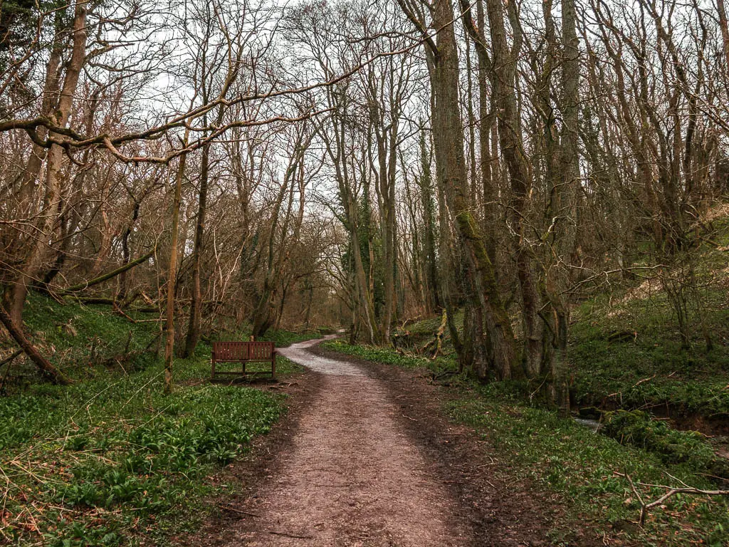 A dirt trail winding uphill though the woodland trees. There it a wooden bench ahead on the left side of the trail.