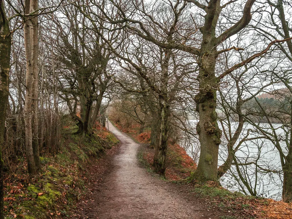 A trail leading ahead, with a moss covered bank on the left side, and the Fewston Reservoir to the right, halfway into the walk. The trail is lined with trees.