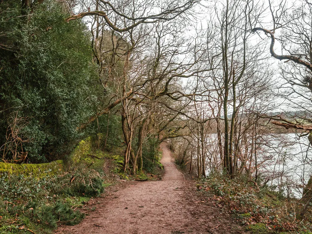 The dirt trail snaking ahead, with a stone wall, bushes and trees on the left side, and a few think trunked trees on the right, with a small view to the Fewston Reservoir, on the walk back to the start.