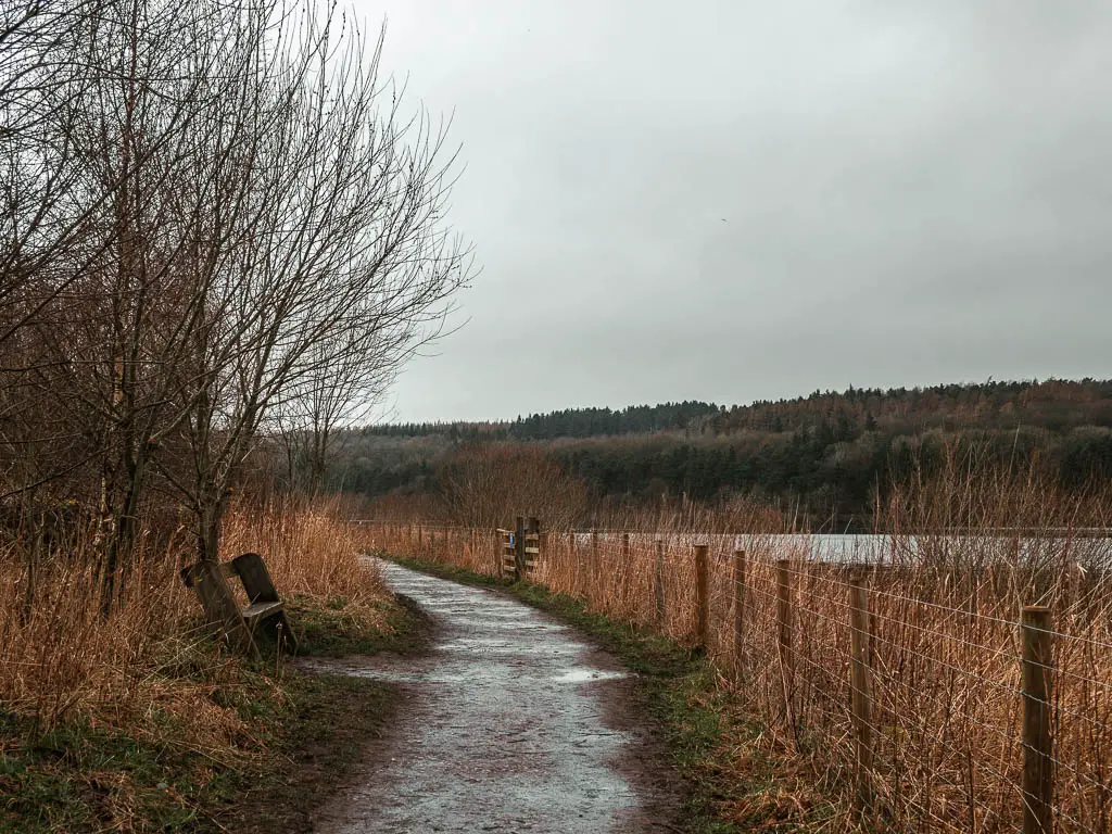 A path lined with tall orange hay grass, with a wooden bench on the left and the water just visible to the right.