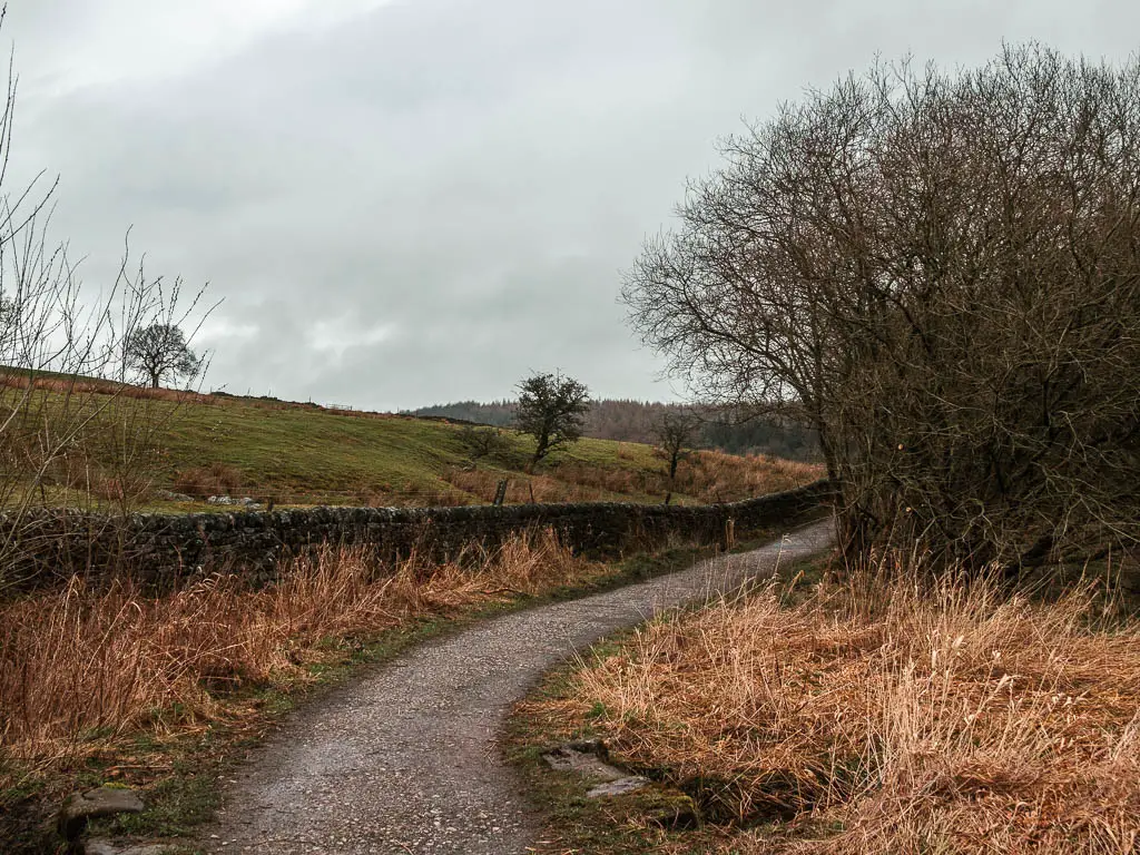 A path leading ahead to the right, with some leafless trees and hay to the right of it, and a stone wall and hill to the left.