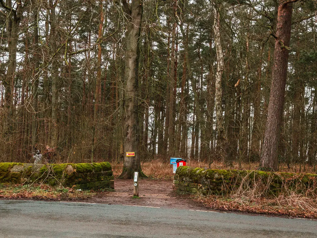 An opening in the stone wall on the other side of the wall, leading into a mass of woodland with tall trees.