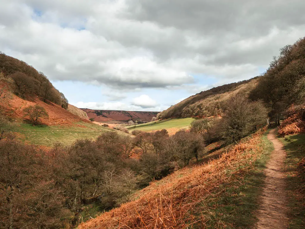 Looking through the middle of the valley on the walk though the hole of horcum. There is a trail on the right, and a mass of trees in the bottom of the valley, and grass hills up the side of the valley ahead.