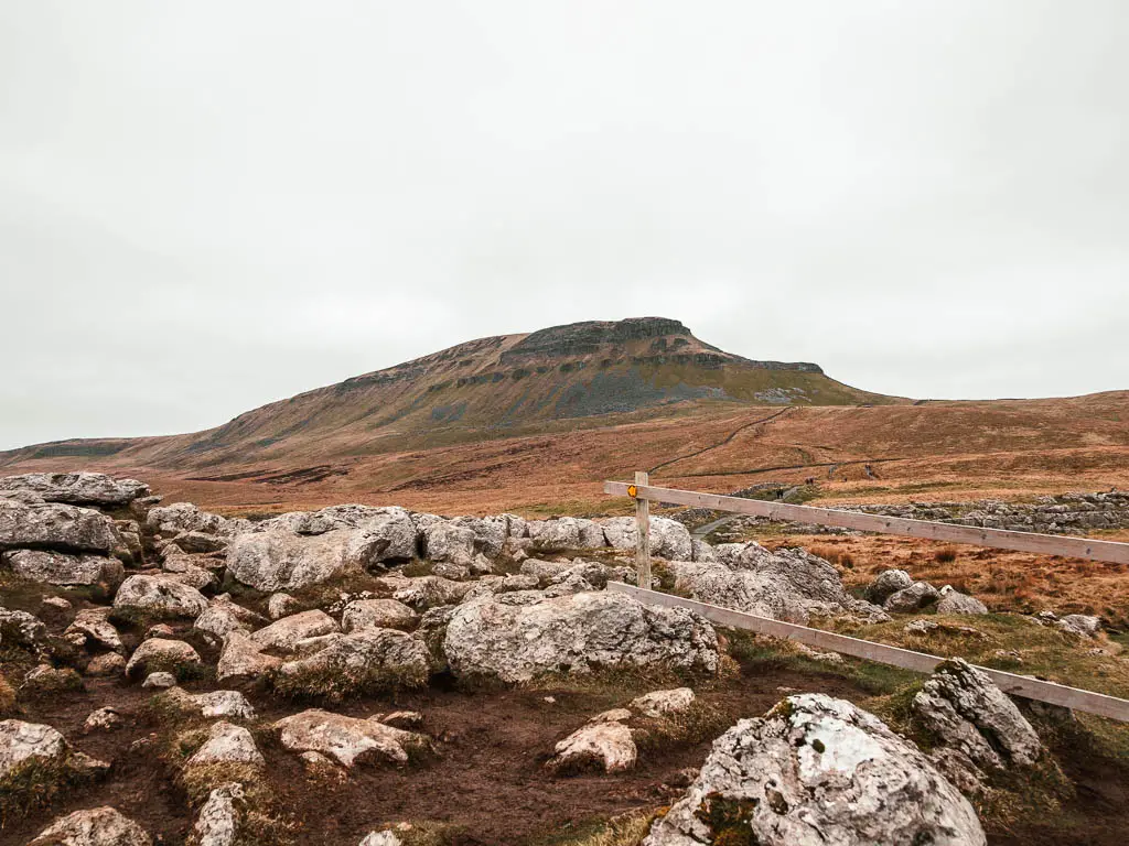 Lots of big white rocks scattered across the ground, with Pen-y-Ghent looming ahead in the distance, when walking up towards it.