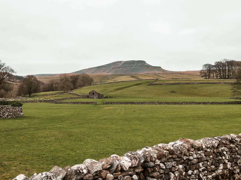 Looking over a stone wall to a grass field, with Pen-y-Ghent way ahead in the distance. 