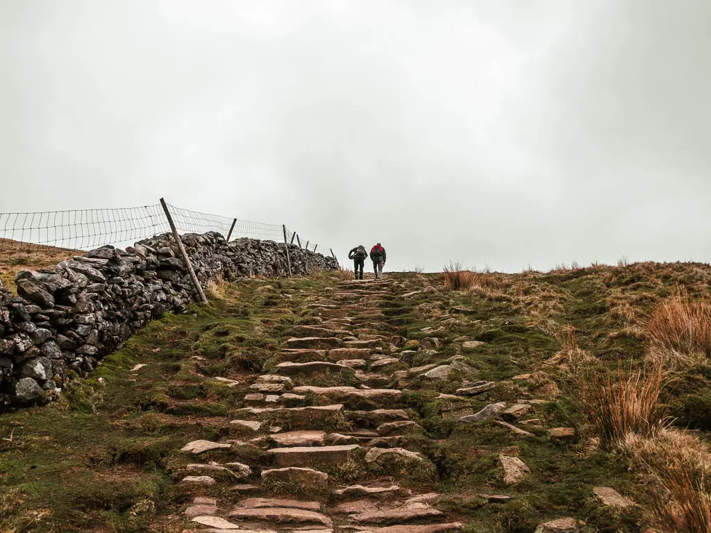 Rugged stone steps leading uphill, surround by grass, with a stone wall to the left. There are people walking up the steps ahead.