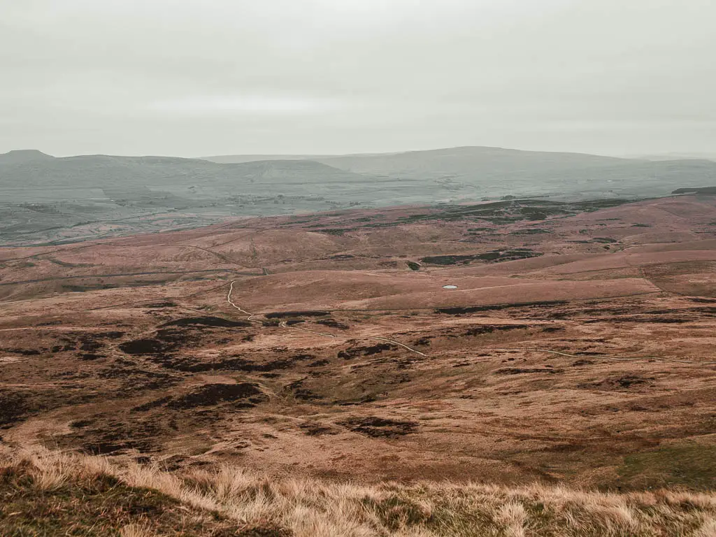 Looking down across the vast landscape of underling orange, yellow, and brown grass, with a small barely visible trail running across it.