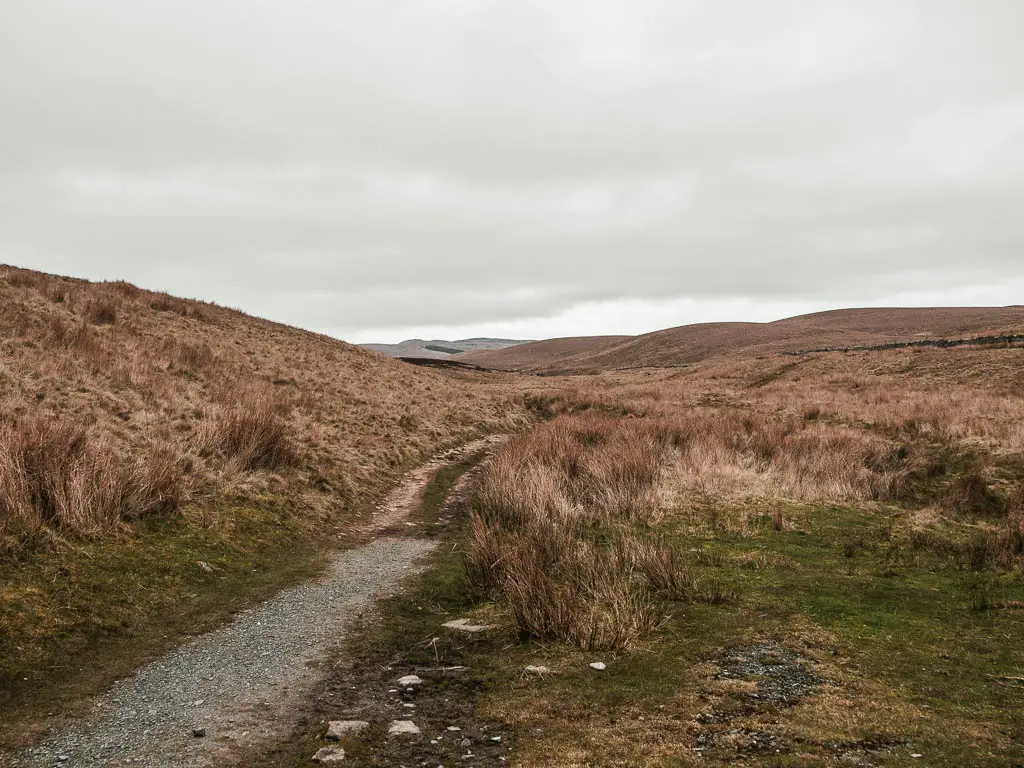 A trail leading through the tall pale grass, and small bumpy hills ahead in the distance. 