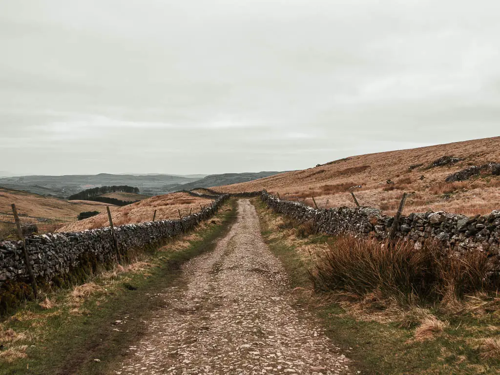 A stoney path leading straight ahead, lined with grass and stone walls.