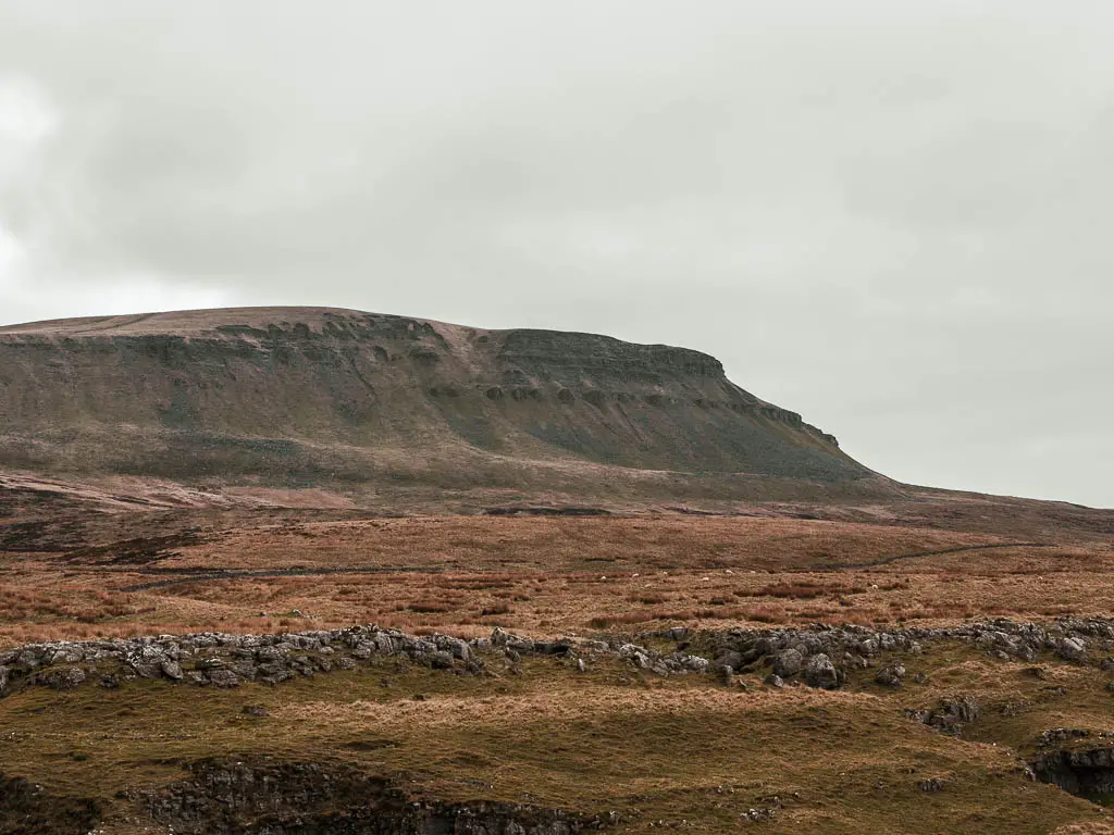 Looking across the dark green landscape, with Pen-y-Ghent looking above.