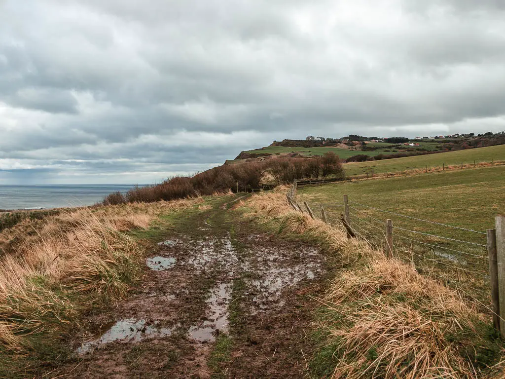 A large patch of wet muddy trail, lined with tall grass, and a wire fence to the right, separating a field.