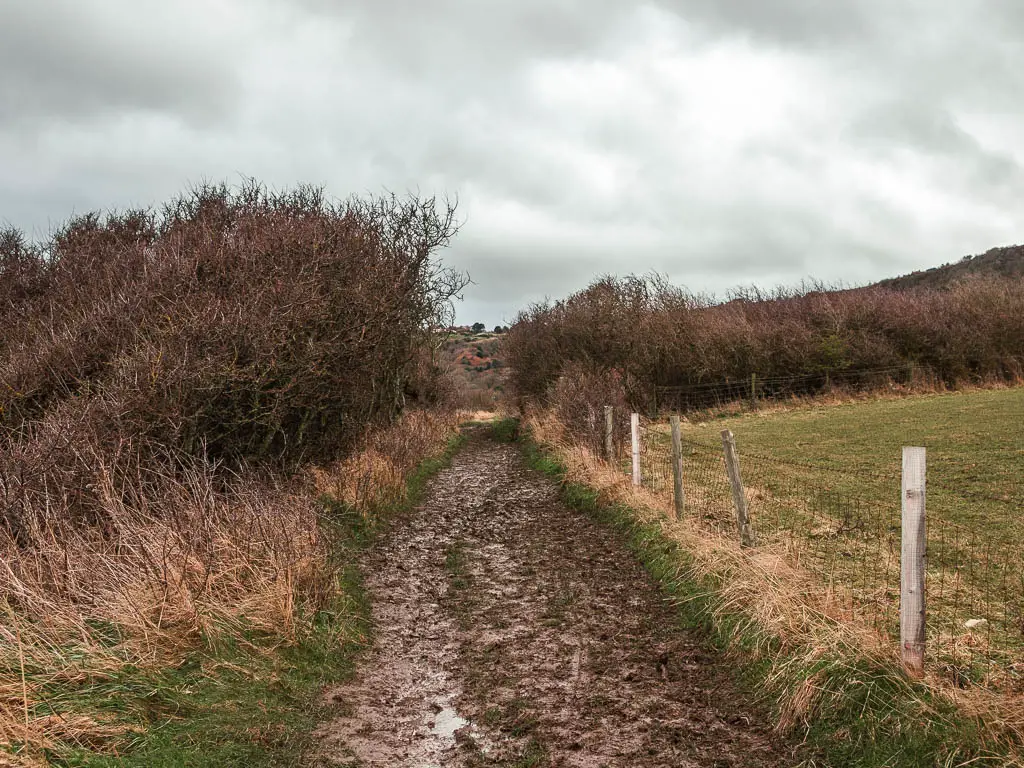 A muddy trail with tall grass and bushes to the left and a wire fence to the right.