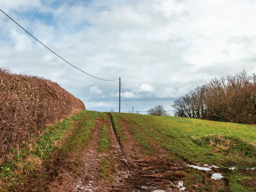 A muddy trail on the left side of a field of green grass. There is a leafless hedge to the left and pylon wires above. 
