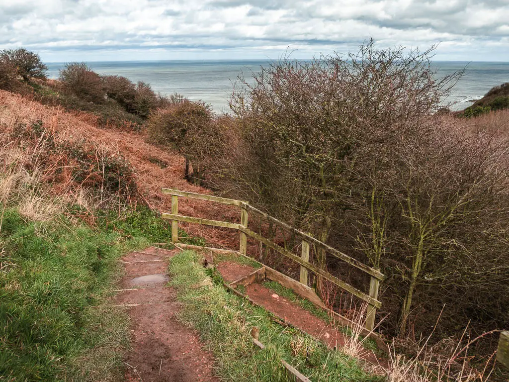 Dirt trail steps winding downhill to the right and disappearing past the trees.