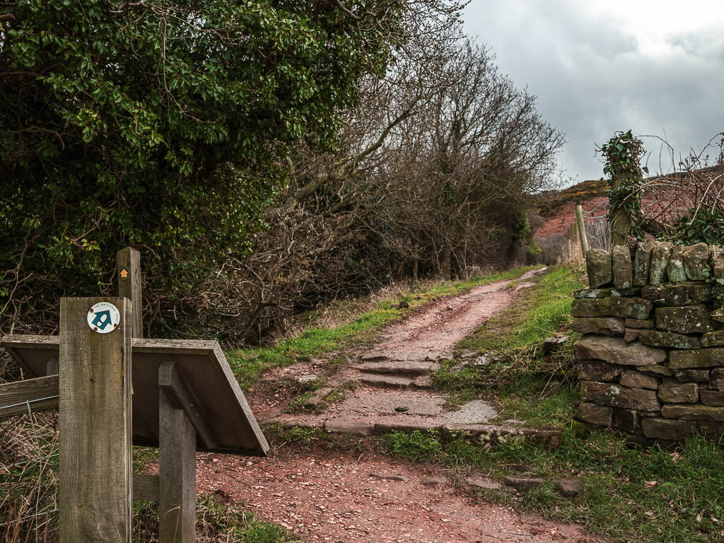 A green arrow trial sign on a wooden post on the left, pointing ahead to a dirt trail, lined with a stone wall on the right and trees on the left.
