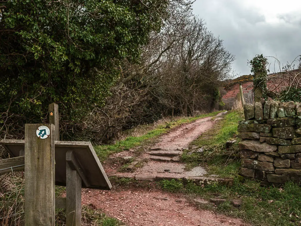 A green arrow trial sign on a wooden post on the left, pointing ahead to a dirt trail, lined with a stone wall on the right and trees on the left.