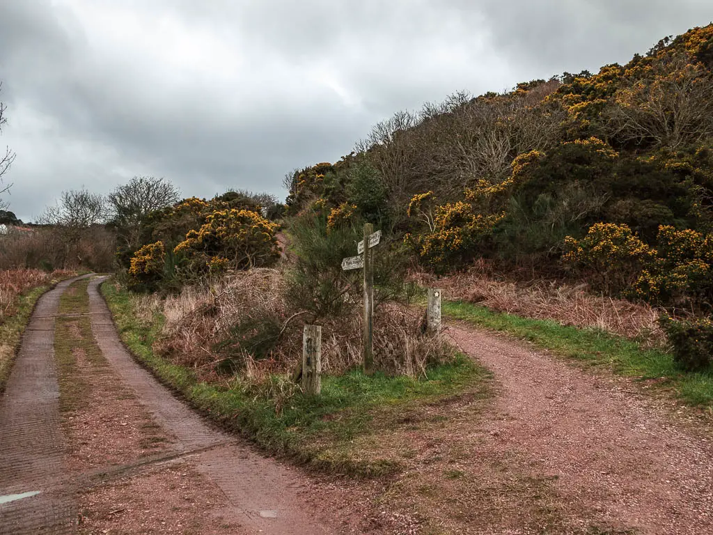 A hairpin bend junction in the trail, with bushes and a wooden signpost on the junction.