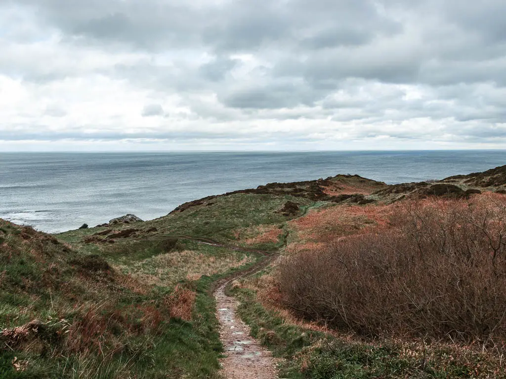 A trail winding down the underling hill side, with the sea ahead, on the walk down to Ravenscar from Robin Hood's Bay.