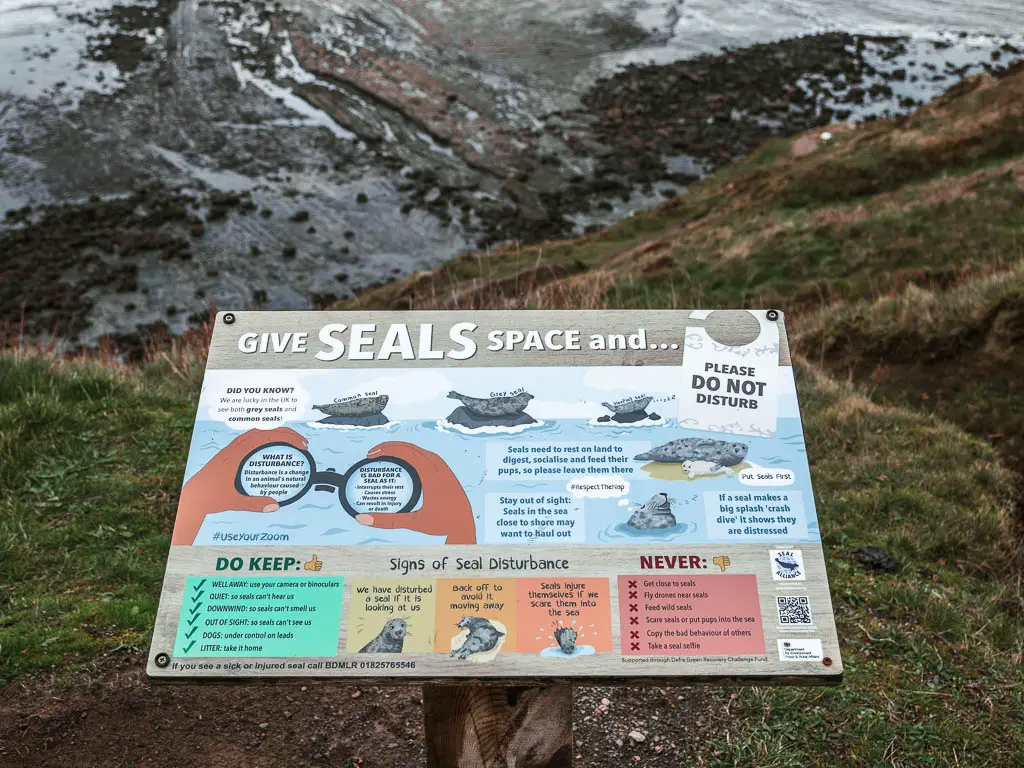 An information board with details about the seals at Ravenscar.