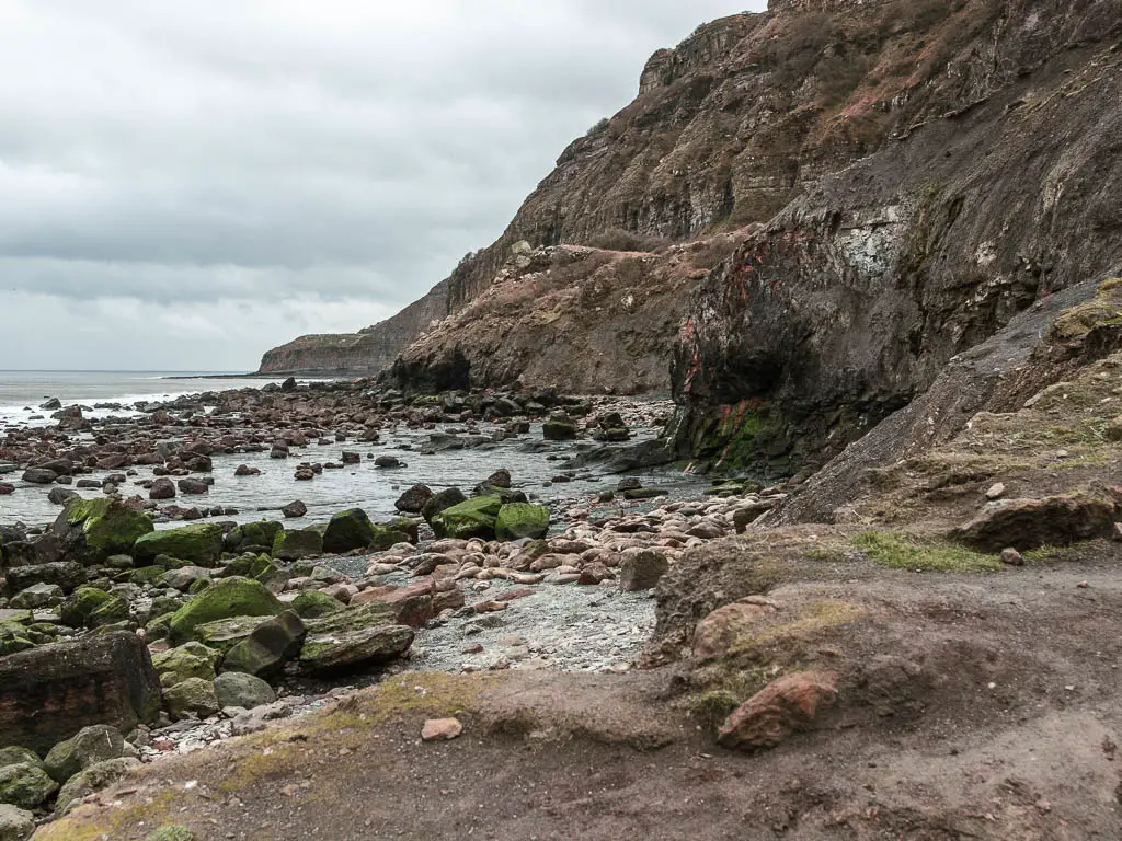 A seal colony on the rocky beach below a rugged cliff on the Robin Hood's Bay and Ravenscar walk.