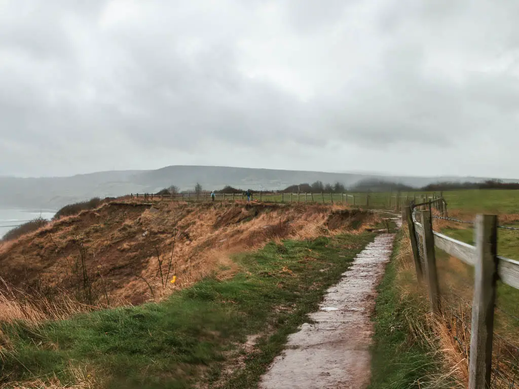 A stone paved path on the right, and a grass cliff to the left.