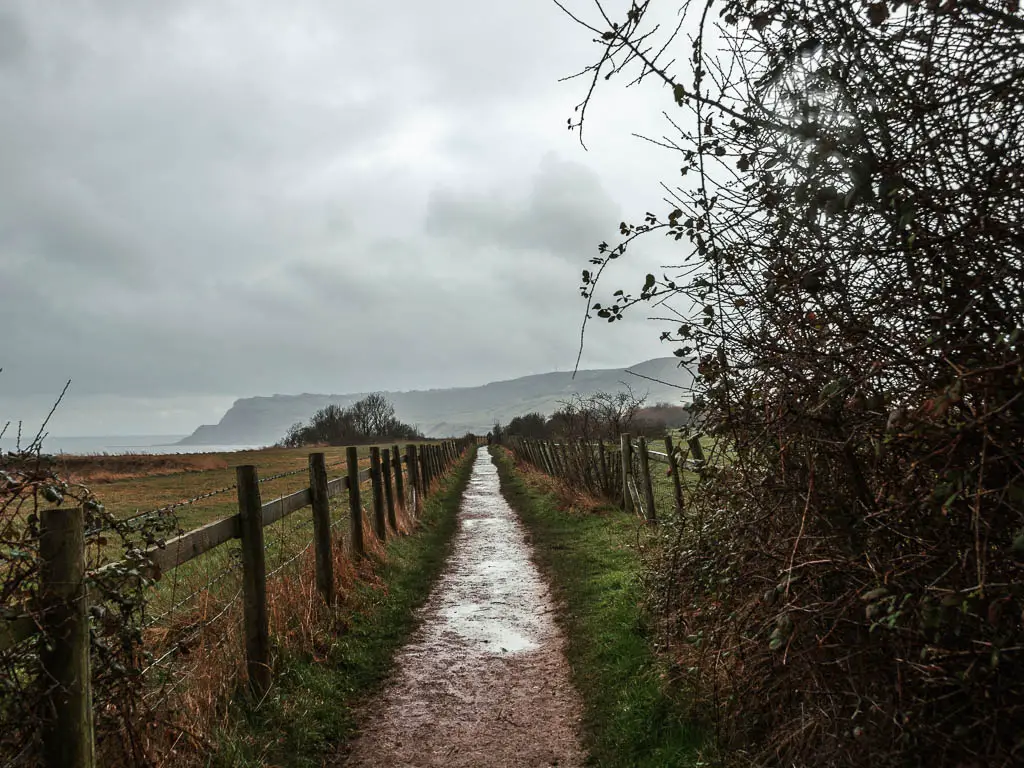 A long thin path with rain puddles, lined with a wooden and wore fence. There is a big hill visible way in the distance. 