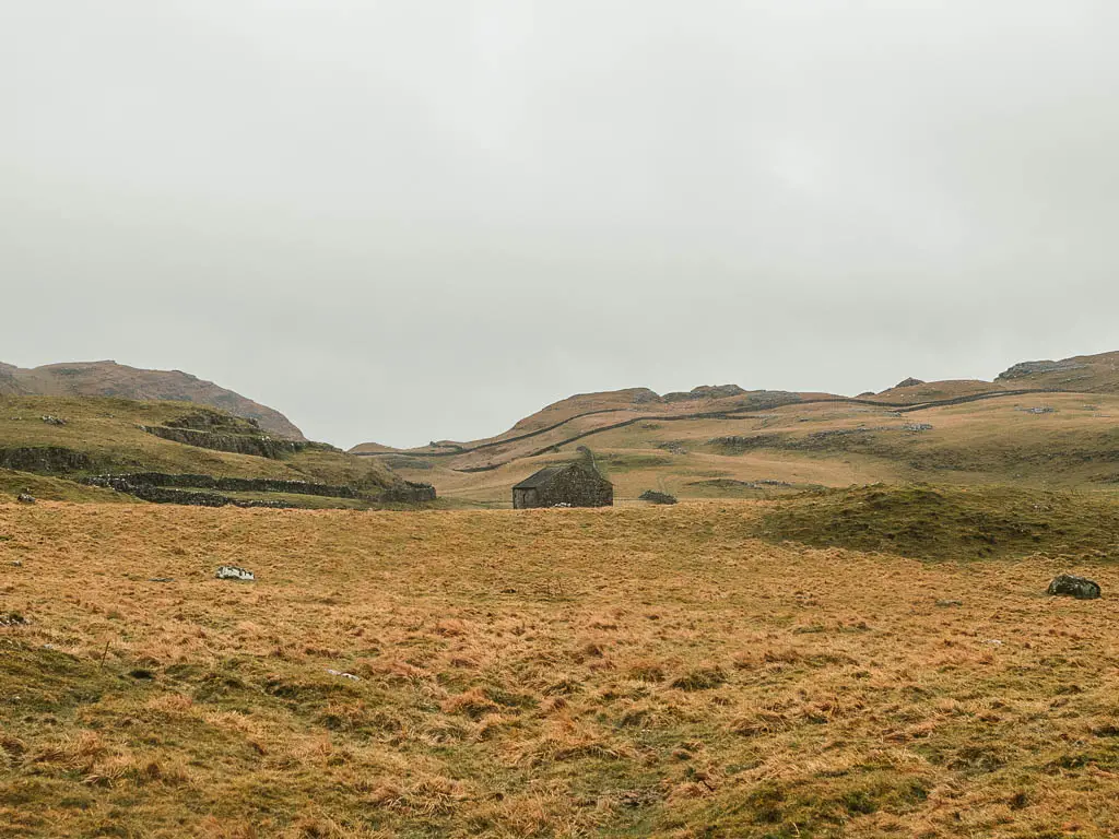 Looking across the dark yellow grassed field, to a shed and craggy hills in the distance along the Settle Caves and waterfall walk, in Yorkshire.